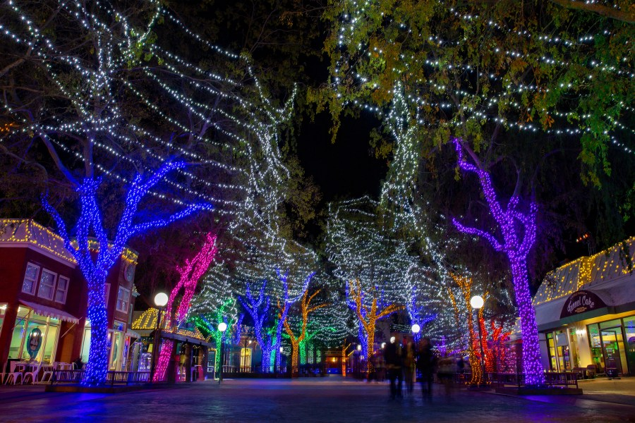 Holiday Entertainment Services Unwrap Best Holiday Party Ideas